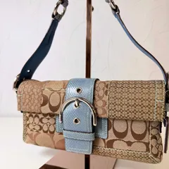 ✨Cランク   COACH　ワンショルダーバッグ　ハンドバッグ　bag　パッチワーク　パイソン　シグネチャー　キャンバス　レザー　「30EL」