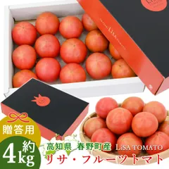 諸木直送 トマト Lisa フルーツトマト 4箱 100日トマト 春野町 高糖度トマト 高知産 高知 糖度8度以上 高知県産 家庭用 ふるーつとまと 約4キロ 宅急便