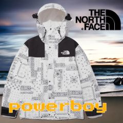 THE NORTH FACE ノースフェイス マウンテンジャケット ゴアテックス NOVELTY ECO GTX MOUNTAIN JACKET マウンテンパーカー GORE-TEX SNOW WHITE 白