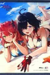 【中古】タペストリー ユミア＆アイラ 描き下ろしB2タペストリー 「PS5/PS4/Switch/PCソフト ユミアのアトリエ ～追憶の錬金術士と幻創の地～」 トレーダー購入特典