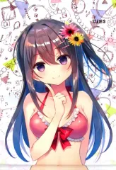 【中古】同人ポスター・タペストリー・カレンダー系 【オリジナル】A4こころミニタペストリー(タケイオーキ) COMIC1☆13/TIES