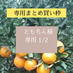 【お客様専用】まとめ買い枠✨種子島産タンカン10キロ箱×2（長田園芸）