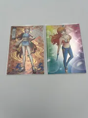 ワンピース　ウエハース　カード　ナミ　2種セット