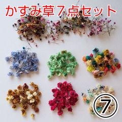 かすみ草7点セット④　ドライフラワーレジンアクセサリーハーバリウムハンドメイド