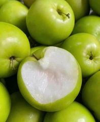 [3月6日入荷予定、入荷次第発送」台湾産ナツメ　1箱 2,5kg(20玉）