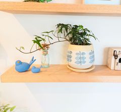 ポット｜Kwilu Pot Plus Gosu リーフ 植木鉢・受皿セット