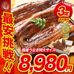 うなぎ ウナギ 鰻 蒲焼き 無頭 国産 特大サイズ 約200g×3尾