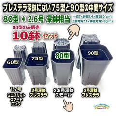 プレステラ深鉢にない75型と90型の中間サイズ⇒スリット深鉢80型四角-黒(2.6号鉢ロング相当)10鉢セット＊多肉植物・塊根植物コーデックス・アガベ・サボテン・盆栽・観葉・ハオルチア・アデニウム・パキポディウム・実生＠フラワーショップ江口