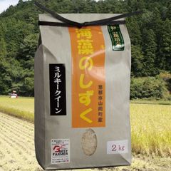 NO32. 国武久巳 白鳥飛来 版画 鳥 緑 風景画 額付き 箱あり 絵画