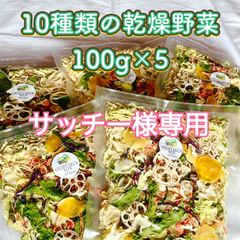 【サッチー様専用】10種類の乾燥野菜100g×5袋
