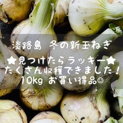 【見つけたらラッキー⭐︎】10kgお買い得品☺︎ 淡路島　冬の　新玉ねぎ　玉ねぎ　タマネギ　減農薬　野菜