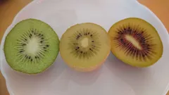 キウイ【選べる】20個パック