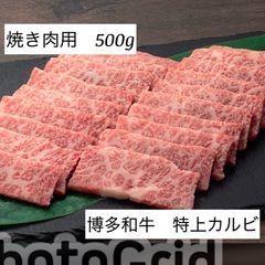 博多和牛　特上カルビ焼き肉用　500g  冷凍発送