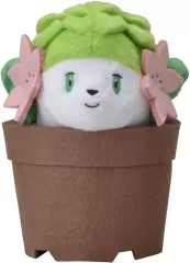 2026年最新】pokémon grassy gardeningの人気アイテム - メルカリ