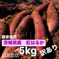 [訳あり]茨城県産紅はるか さつまいも 細身形状 5キロ