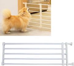 Item thumbnail for item 3afc8283-cc2c-40ef-bbdf-c58ad922c281