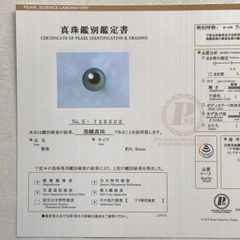 オーロララグーン 黒蝶真珠 9.0mm-10.0mm ルース