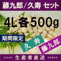 2022年新物　生産者直送 久寿 ぎんなん 祖父江産 銀杏 3L 3kg 2024年新物 藤九郎 銀杏 生産者直送 祖父江産 ぎんなん 3L 3kg
