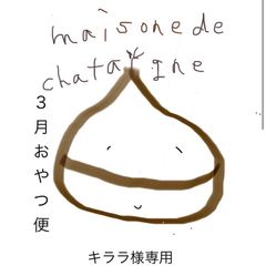 キララ様専用　おやつ便　シフォンケーキサンド　チーズケーキ　テリーヌ