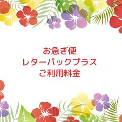 お急ぎ便 レターパックプラス  速達扱い 差額 ご利用料金 お誕生日などに