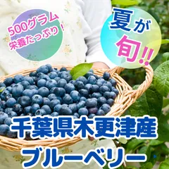 ☆令和7年 生ブルーベリー☆農薬不使用 5㌔ 楽天市場】【ふるさと納税】【先行予約】＜すだ農園＞栽培期間中
