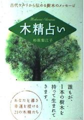 光る石ガイドブック : 蛍光鉱物の不思議な世界 - メルカリ