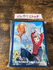 海外限定】ブラッキー ニンフィア バインダー 4ポケット