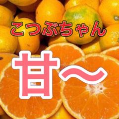 和歌山産　小粒みかん3kg