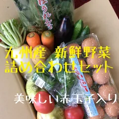 九州産　新鮮野菜　詰め合わせセット　赤玉子入り