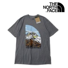 ノースフェイス 半袖 Tシャツ US限定 グラフィック グレー 180902