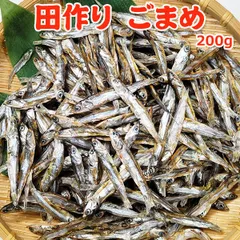 田作り ごまめ 200g サイズ 無選別 常温便 ネコポス便 送料無料 おせち たつくりのサムネイル