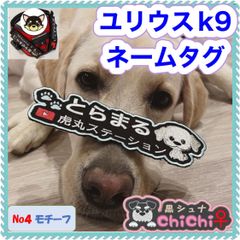 ユリウスk9 ネームタグ　NO4 モチーフ　名前刺繍ワッペン　ハーネス名札　犬　オーダーメイド　ネームラベル