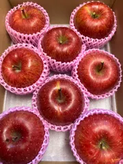 【即日発送】ふじ 3キロ 送料無料 リンゴ りんご お歳暮 家庭 りんごのサムネイル