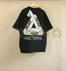 2024年最新】palace arc'teryx tシャツの人気アイテム - メルカリ