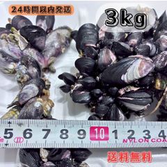 冷凍カメノテ5000g  石鯛　黒鯛　コブダイ　釣り餌 送料無料の商品 冷凍カメノテ5000g 石鯛 まっ by 釣り餌の通販
