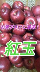 ☆入手困難【紅玉】約１０キロ（5㎏×2ケース）！酸味があってお菓子づくりに最適！１０月上中旬発送
