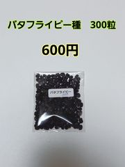 バタフライピー種　300粒　600円