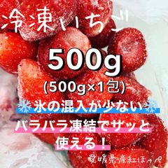 冷凍イチゴ　500g 愛媛県産　バラバラで取りやすい！氷の混入が少ない！