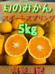 【あの幻のみかんスイートスプリング】大阪府堺市産　南楽園から幻のみかん『スイートスプリング』をみなさんに届ける贅沢な味わいの体験！箱込5kg　サイズ混合　産地直送