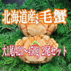 北海道産 冷凍ボイル毛蟹 大(420〜450g)×2尾