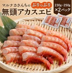 宮崎 日向灘 甘エビ 深海の海老 無頭 アカスエビ 500g 産地直送 刺身 海老 えび エビ ぷりっぷり トロトロ