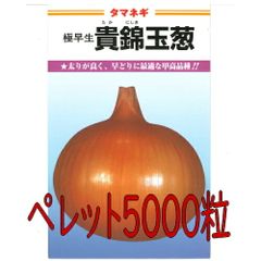 カネコ種苗　貴錦　玉葱　ペレット５０００粒