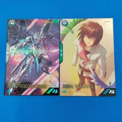 アーセナルベース ライジングフリーダムガンダム キラ・ヤマト PSA10 アーセナルベース ライジングフリーダムガンダム キラ・ヤマト