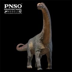 PNSO 成長シリーズ 85 カマラサウルス フィギュア 空洞を持つトカゲ 竜脚類恐竜 カマラサウルス科 ジュラ紀 35cm級 草食 恐竜 PVC おもちゃ 模型 恐竜好き