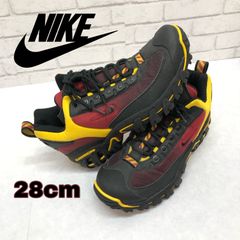 NIKE ナイキ　AIR RIP SAW 28cm
