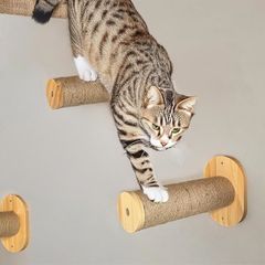 Item thumbnail for item b5f25595-251a-44dd-b2b8-9165eebc2095