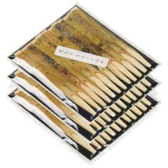 Item thumbnail for item dca42533-50a8-4947-a92c-fafcbed8218e