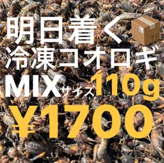 明日着く！冷凍コオロギ　SS、S、M、Lサイズ110g 二星コオロギのサムネイル