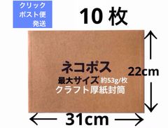 宅配レターケース　クラフト紙厚紙封筒10枚　ネコポス最大　厚手タイプ