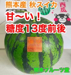 即発送！【美味しい秋スイカ】即発送！熊本産【羅皇】Mサイズ（1玉5〜6kg）熊本フルーツ堂